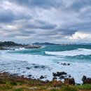 브라운 도트 이미지