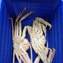 대일수산 이미지