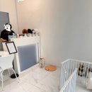 센트럴 독 이미지