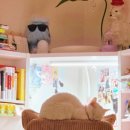 반도세탁소 | 2026-03-ZIP-모아보니 술지분 70%