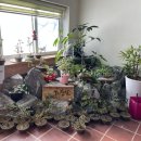 구)상동초등학교 이미지