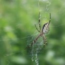 도촌 2농장 이미지