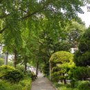 동아대학교병원 이미지