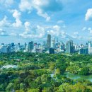 자연환경 이미지