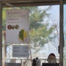 햇살농원 애견 이미지