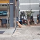 파닭에파무쳐옥계점 이미지