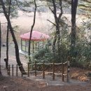 팔학산 유아숲체험원 이미지