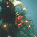 윤앤송한의원 이미지