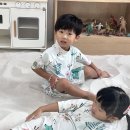 오감;그리다