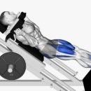옐로우짐(이곡점) 이미지