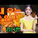 가수 김다현-물새 우는 강 언덕 이미지