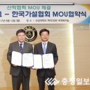 신성가설 이미지