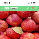 쫑말이네농장