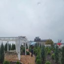 카페바트 이미지