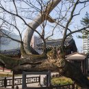 빛바람 이미지
