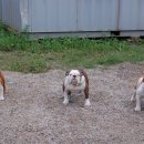 스테이써니 이미지