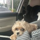 포우 파라다이스 이미지