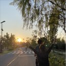 아라마루 이미지