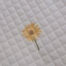 수퍼캐롯 | 마롤로뜨 아기 방수패드 솔직 후기｜디자인 방수 퀄리티까지 만족