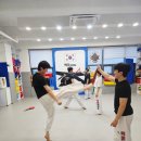 하단태권도체육관 네이버블로그