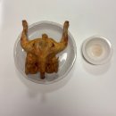 백년통닭호프 | 용호동 옛날 통닭[백 년 가마솥 옛날 통닭] 테이크 아웃 후기