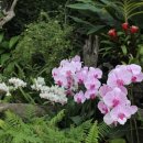 여미지식물원 이미지