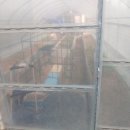 산석진농장 이미지