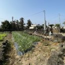 모퉁이돌집 민박 이미지