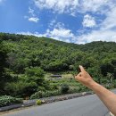 태백경찰서 소도파출소 | 태백 야산 목 없는 시신 발견, 미스터리! 과연 누구인가?