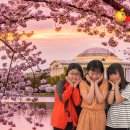 원예농협하나로마트 이미지