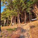 감천산림공원 이미지