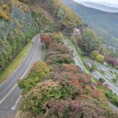 말티재&amp;속리산 법주사 이미지