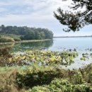 신흥공원 이미지