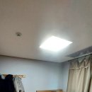 파인피노 이미지