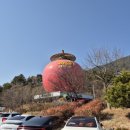 지에이치(GH) | 대구 쏠라티 렌트 12명 단체여행도 넉넉했던 후기 노래방 기기까지