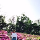 동산게임랜드 이미지