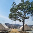 탄금호야영장 이미지