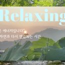 명상 - 자연 이미지