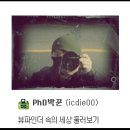 미놀타 하이매틱 SD 도착
