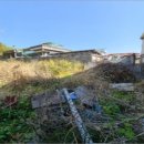 신촌동-4 이미지