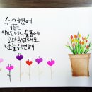 캘리그라피&꽃그림 이미지