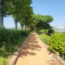 회산백련지 소공원 이미지