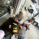 쁘띠멍멍 | 늦은 한국 후기 ➁ 쑥섬과 결혼식