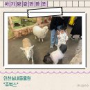 아이와함께 갈만한곳 인천실내동물원 &#34;쥬벅스&#34;