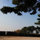 대전문화행정사사무소 이미지