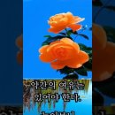 건강예찬 이미지