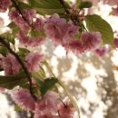 나무다락방 민박 이미지