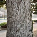 창이대로 이미지