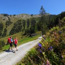 (주)알파인 이미지