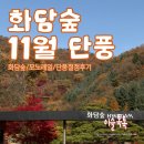 경충대로 11 | 화담숲 11월 둘째주 일요일 방문 후기 및 일정표 공유